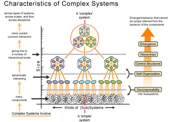 Complex Adaptive Systems - plaatje 2